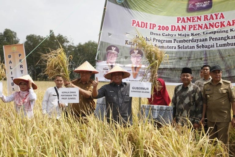 Gubernur Sumsel H Heman Deru , Lumbung Pangan Nasional