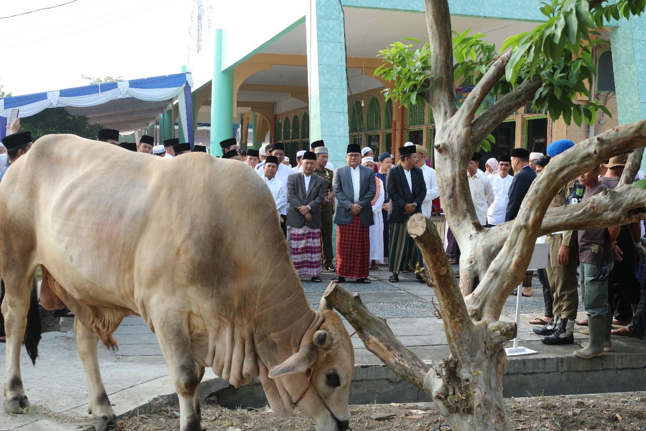 Qurban