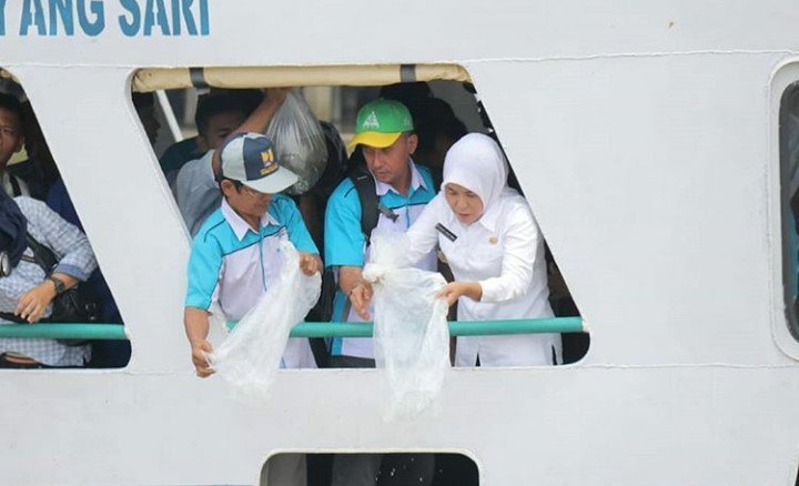 Wawako Tebar 9000 Bibit Ikan Patin di Sungai Musi