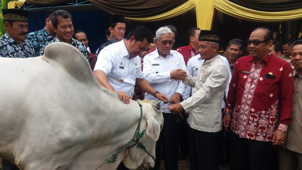 Pemkab Banyuasin , Satu KK Satu Sapi