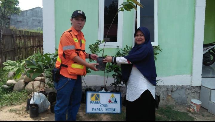 PAMA , penghijauan