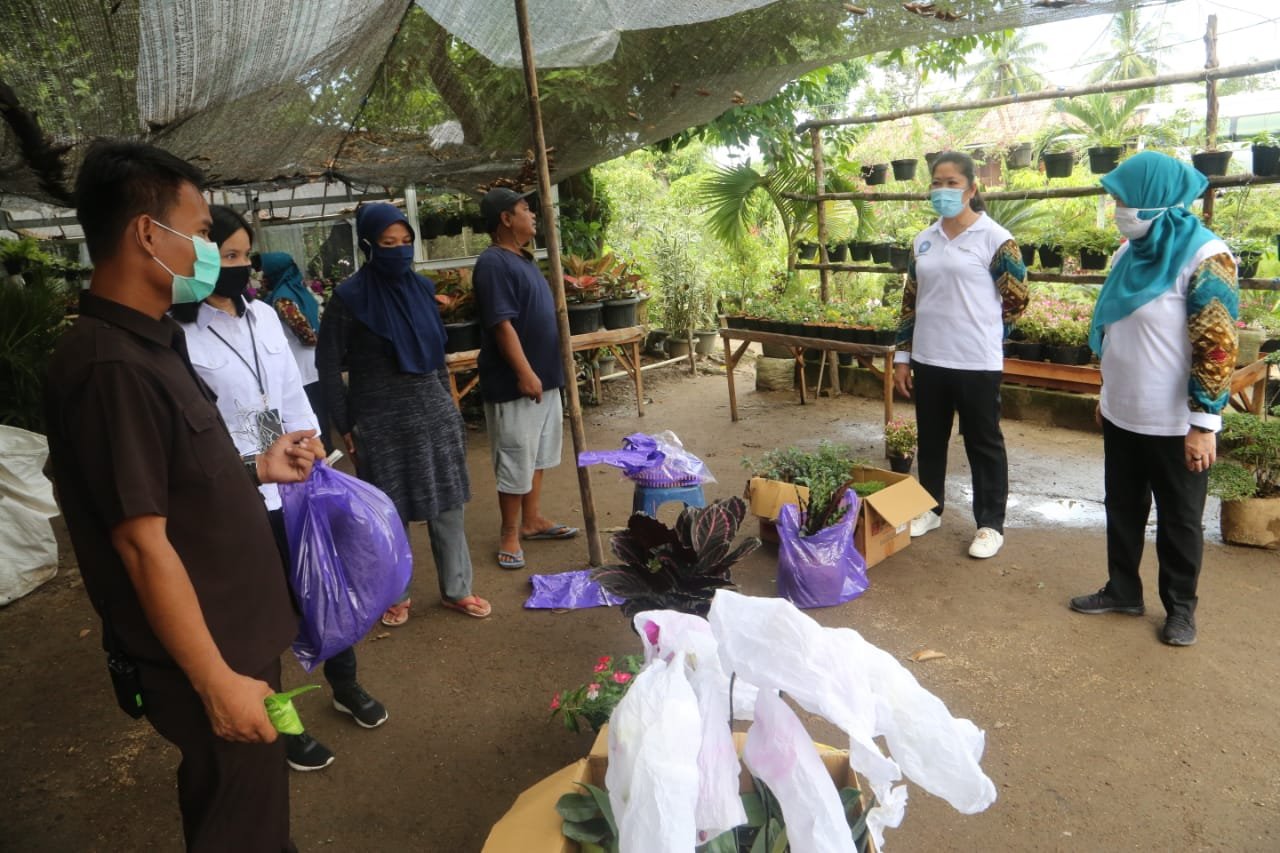 Usaha Tanaman Hias Jadi Alternatif Pendapatan Keluarga