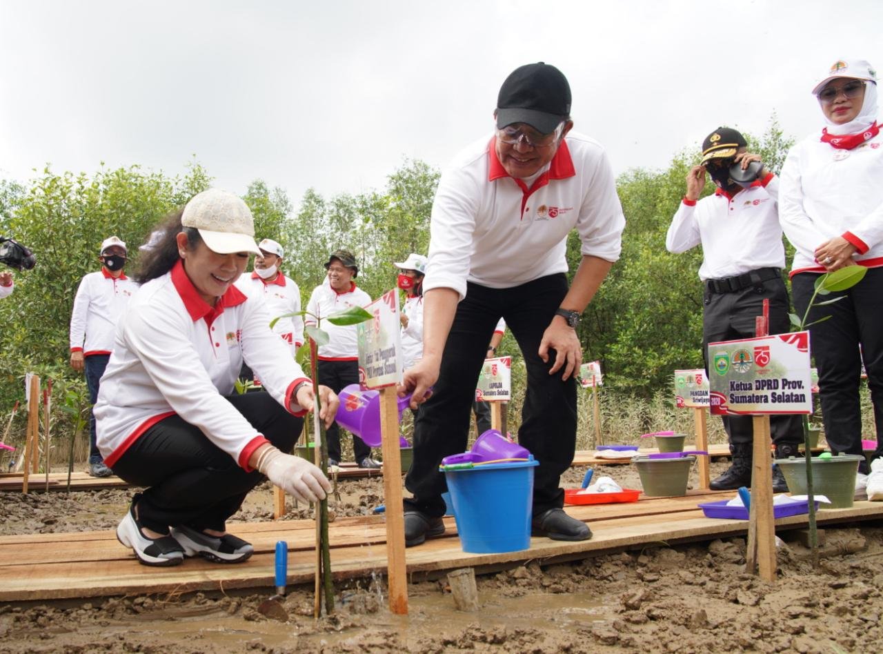Taman Wisata Mangrove Sumsel Siap Saingi Bali