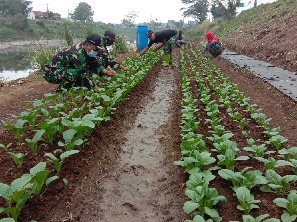 Satgas Citarum Sektor 7 Serentak Bangun Demplot Pertanian di 14 Desa