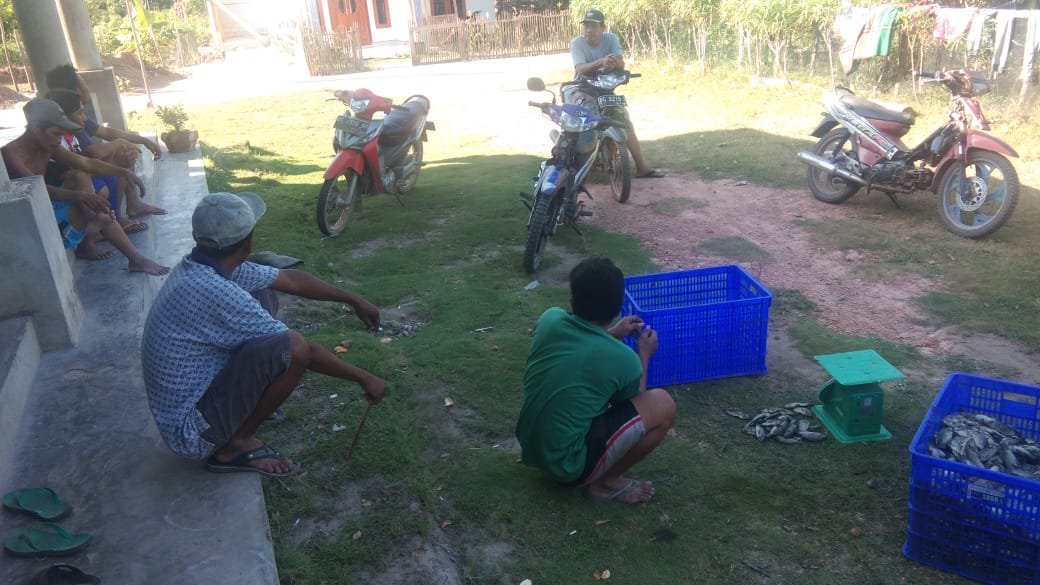 Desa Meranti , Kecamatan Suak Tapeh , kelompok ARWANA , Kelompok budidaya ikan