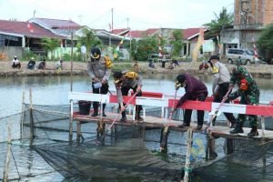 pelepasan benih ikan lele