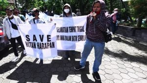 hutan harapan dirusak