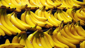 pisang, manfaat pisang