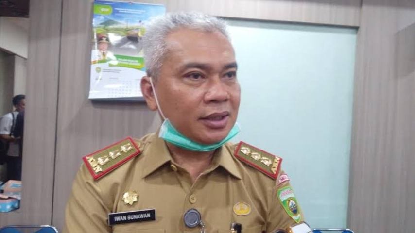 Cabe Burung Naik , harga cabe mengalami kenaikan , harga cabe rawit merah