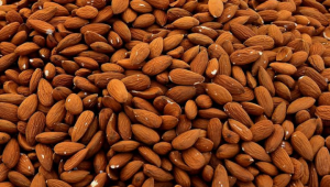 kacang almod, perlancar sirkulasi darah
