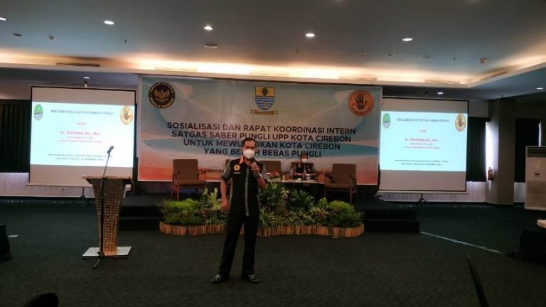 ekonomi biaya tinggi , Sapu Bersih Pungutan Liar , Satuan Saber Pungli