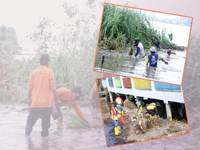 Gotong Royong, Bangun Tanggul Di Pulau Kemaro
