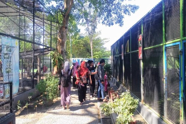 lembaga edukasi masyarakat , pelestarian satwa , pemeliharaan satwa terlindungi , Taman Wisata Umbul