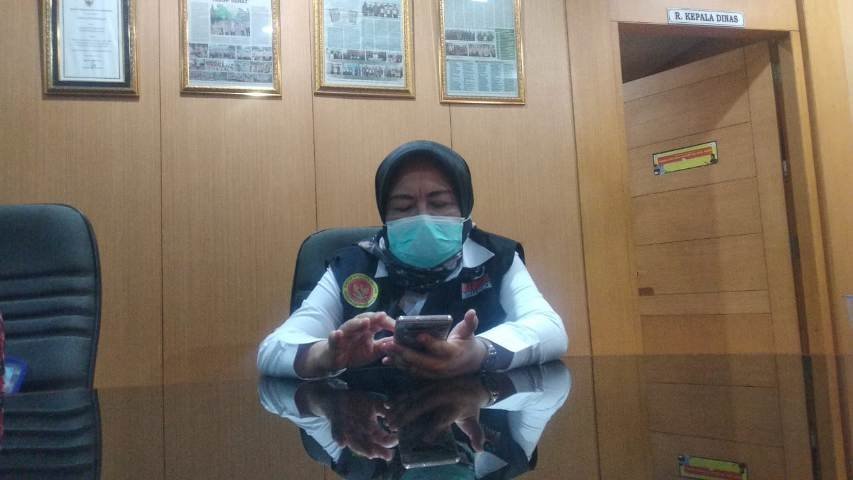 Emergency Use Authorization , fasilitas pelayanan kesehatan , jumlah tenaga kesehatan , vaksinasi Covid-19