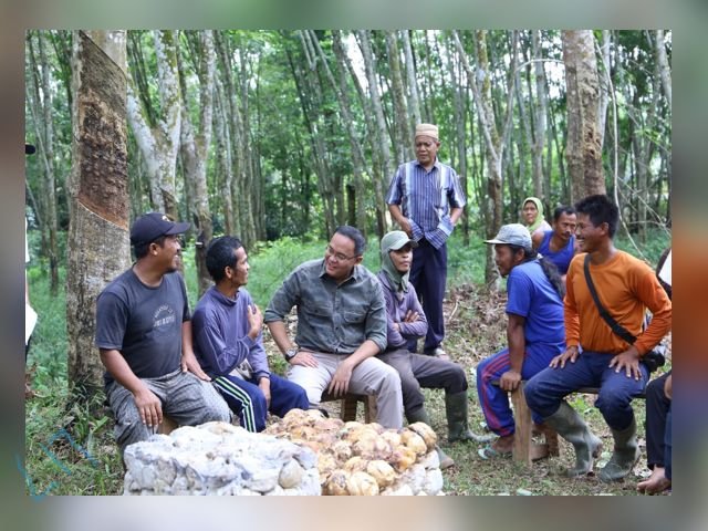Harga karet , Harga lelang karet , inovasi aspal karet , petani karet di Muba