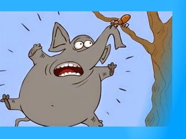 cerita semut melawan gajah, gajah takut dengan semut