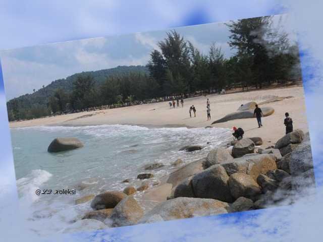 batu granit terbesar , Pesona Geopark Belitung , Surga di Belitung , tanaman obat yang berlimpah