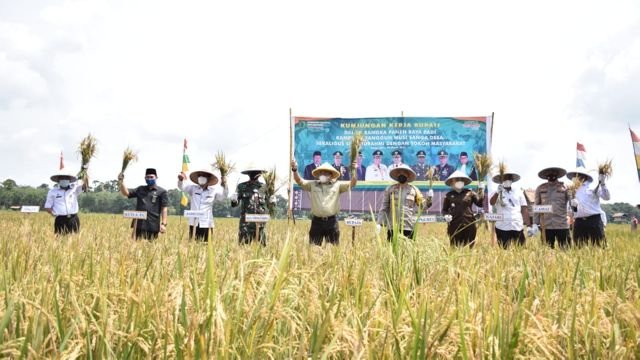 muba sebagai lumbung padi