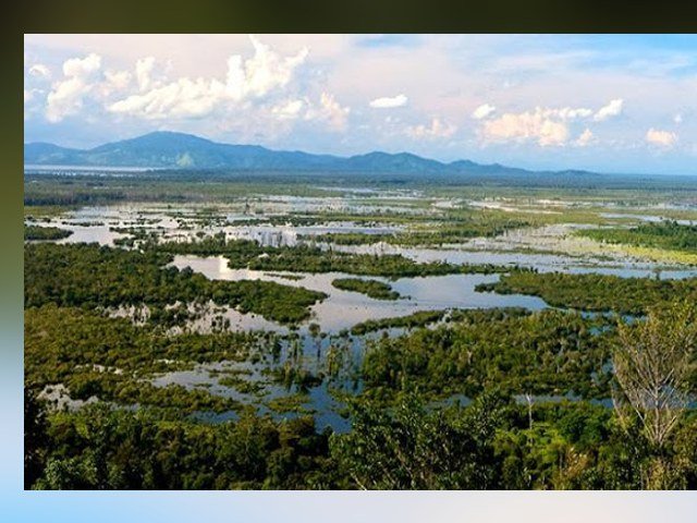 Peneliti Muda Sumsel, Kajian Ilmiah Lahan Gambut