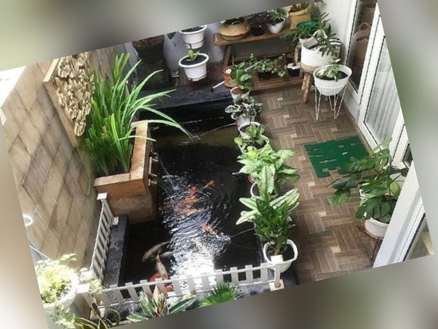 desain taman rumah , membuat taman rumah terlihat mewah , taman rumah minimalis , taman rumah sederhana