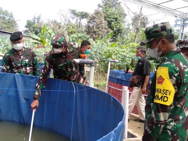 Kampung Sungai Jawi , kebun di sungai jawi , tambah di sungai jawi