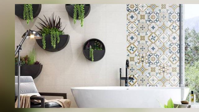 jenis tanaman hias , pot lidah buaya , tanaman hias indoor