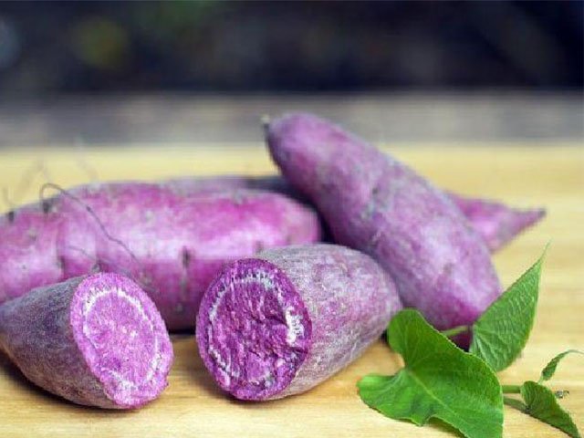 ubi rendah kalori