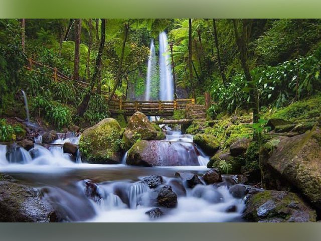 air terjun jumog memiliki hutan lumut