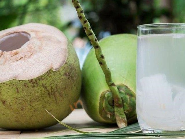 buah kelapa untuk kesehatan , manfaat buah kelapa