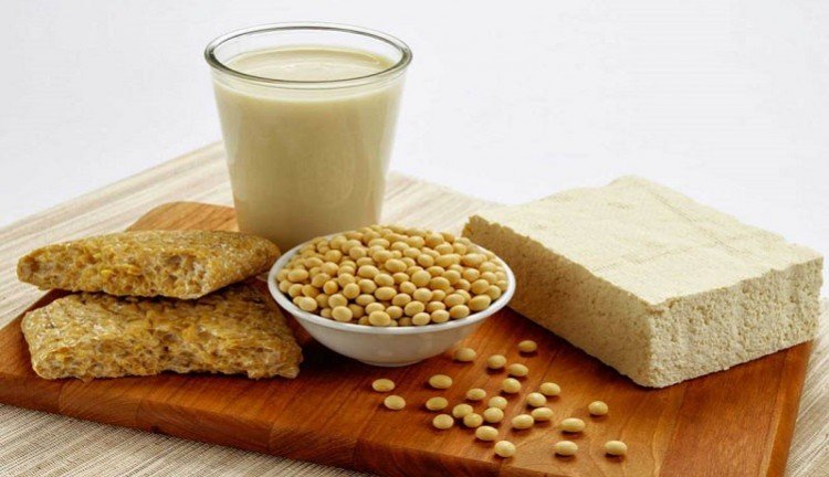 fungsi saluran pencernaan , protein nabati untuk anak , sumber protein nabati , susu formula soya
