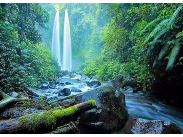 Air Terjun Blang Kolam , Air Terjun di Lhokseumawe , Taman Nasional Gunung Leuser