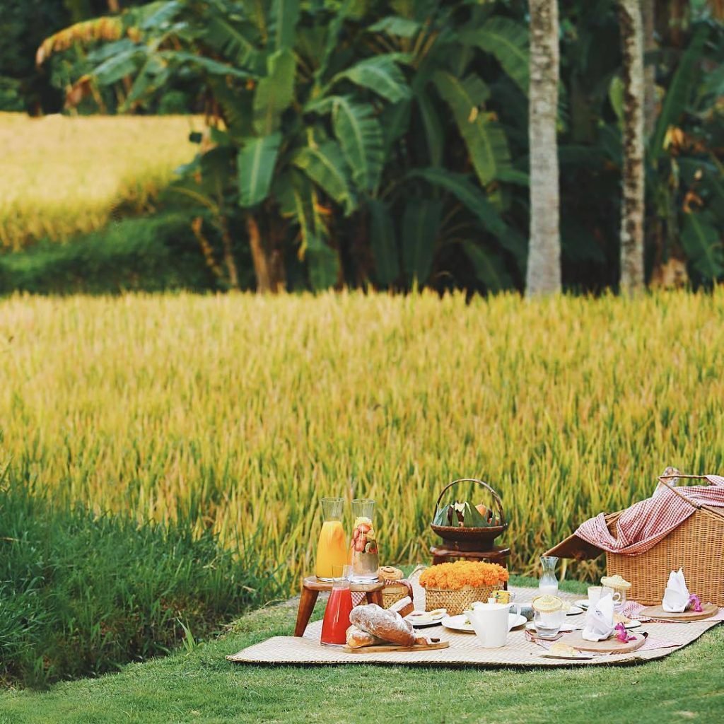 Padi Padi Restaurant , sengatan sinar matahari , Wisata Alam