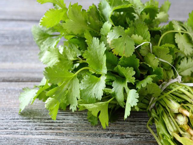 manfaat daun ketumbar , manfaat kesehatan , mengonsumsi daun ketumbar , sumber nutrisi