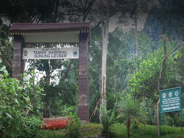 Taman Nasional Gunung Leuser