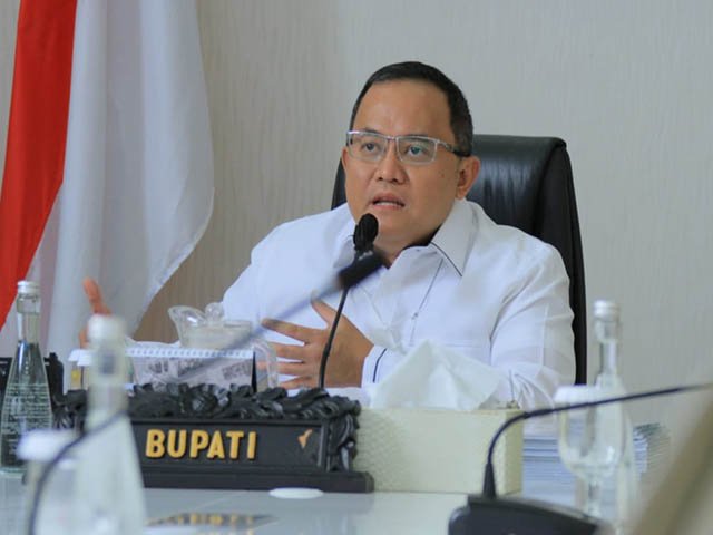 peremajaan kelapa sawit , pilot project replanting , potensi ekonomi komoditas sawit