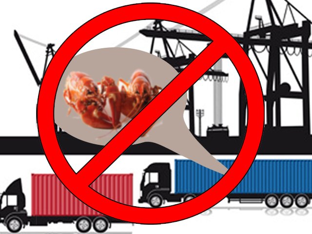 Selundupkan Puluhan Ribu Benih Lobster