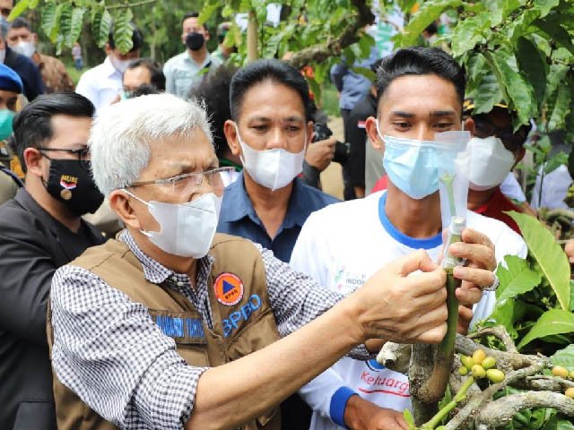 Gerakan Satu Juta Stek Batang