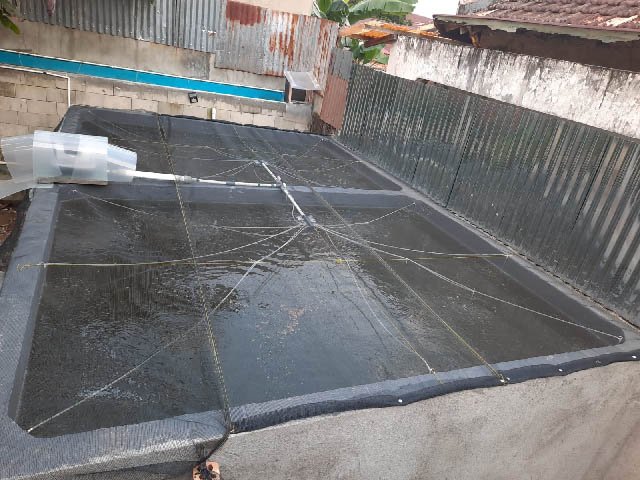 usaha budidaya ikan air tawar