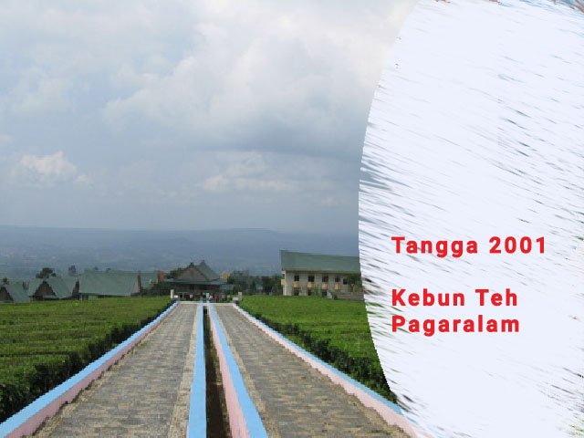 Tangga 2001 Pagar Alam, Kebun Teh Pagaralam