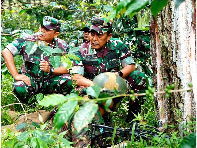 kemampuan pertempuran hutan , Kondisi geografis Wilayah NKRI , latihan perang hutan , peninjauan pelaksanaan latihan