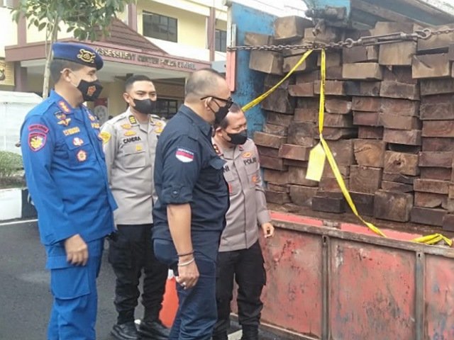 mencari koordinat penebangan , pengakuan tersangka , penyelundupan kayu balok