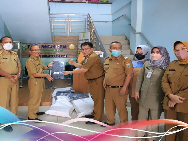 bantuan polibag , bantuan sarana bibit sayuran , gerakan sumsel mandiri pangan