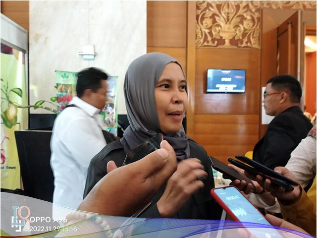 Kebutuhan Petani Sawit di Daerah , peluang petani sawit , perkebunan kelapa sawit
