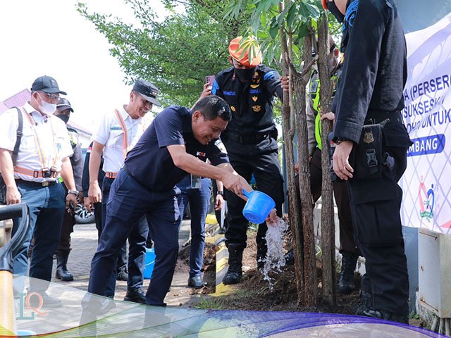 Gerakan Satu Juta Pohon , Penanaman pohon