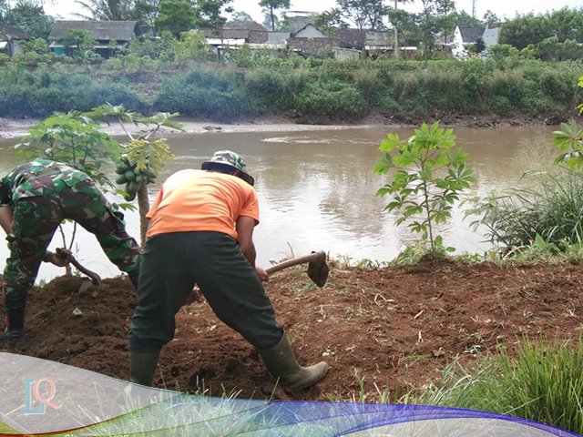 penggemburan lahan , proses menyuburkan tanah , Satgas Citarum Sektor 7