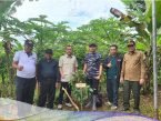 Banjir Bandang , kegiatan reboisasi