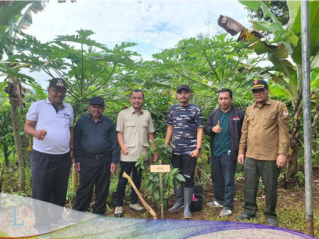 Banjir Bandang , kegiatan reboisasi