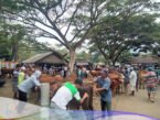 Pasar Hewan di Glenmore Banyuwangi