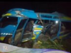 Kereta Api Probowangi , Mini Bus Elf