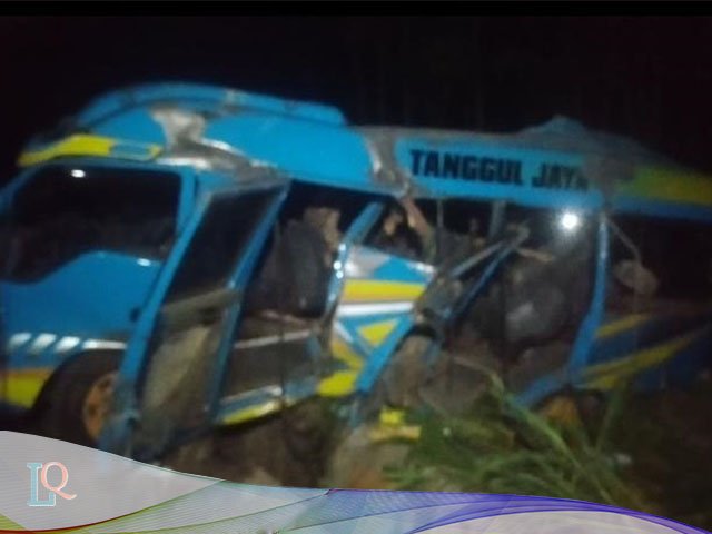 Kereta Api Probowangi , Mini Bus Elf
